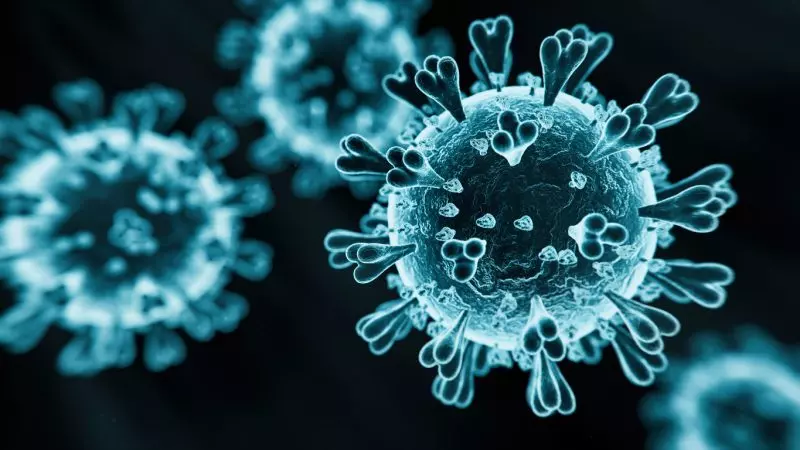 Cientistas descobrem novo coronavírus em morcegos na China com potencial de infectar humanos