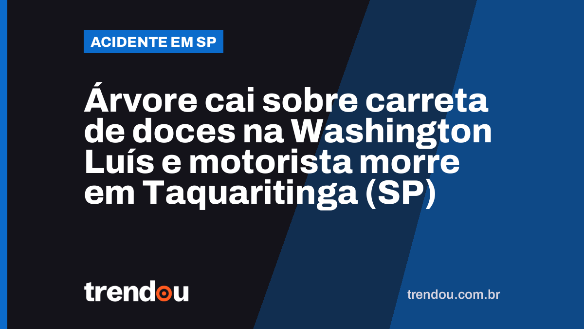 Árvore cai sobre carreta de doces na Washington Luís e motorista morre em Taquaritinga (SP)