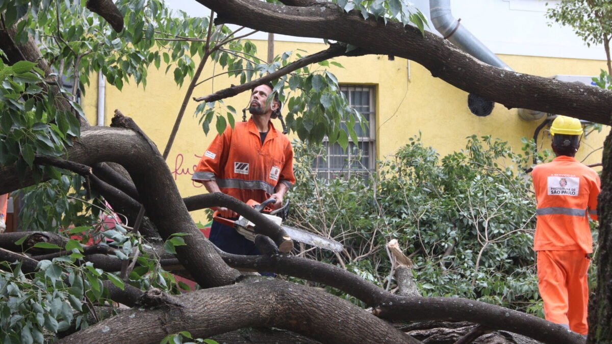 Temporal com granizo e árvores caídas atinge São José dos Campos e cidades do Vale do Paraíba