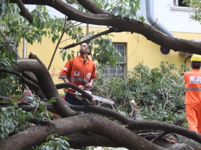 Temporal com granizo e árvores caídas atinge São José dos Campos e cidades do Vale do Paraíba