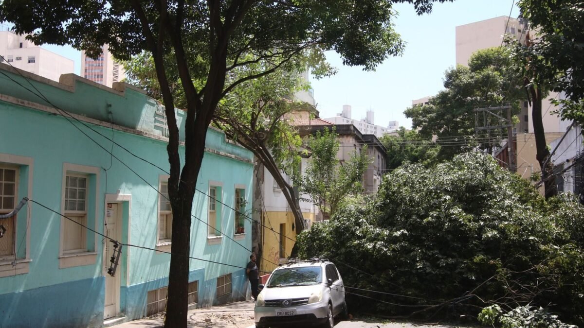 Defesa Civil emite alerta severo em Campinas; granizo e árvores caídas em Valinhos