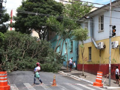 Temporal derruba árvores e deixa duas pessoas desalojadas em Aracruz (ES)
