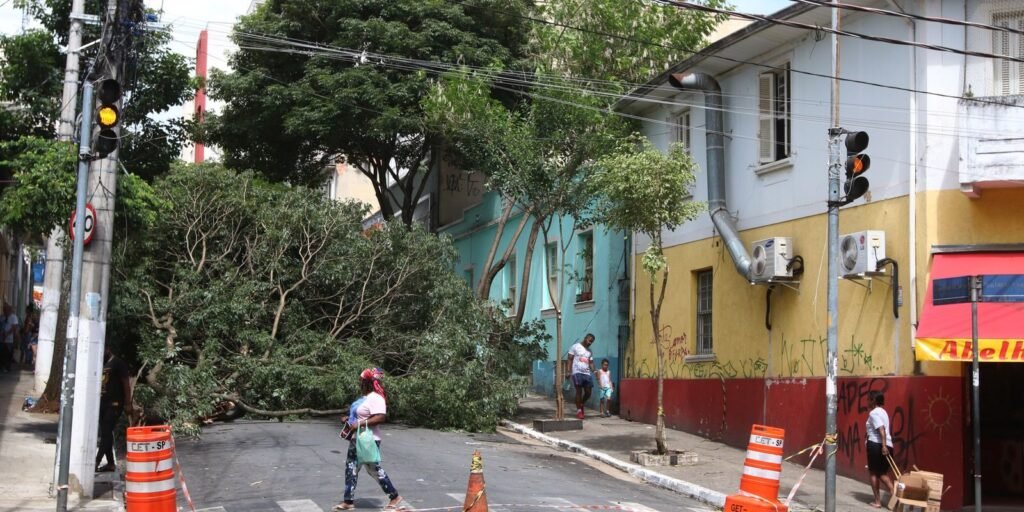 Árvore caída bloqueando cruzamento