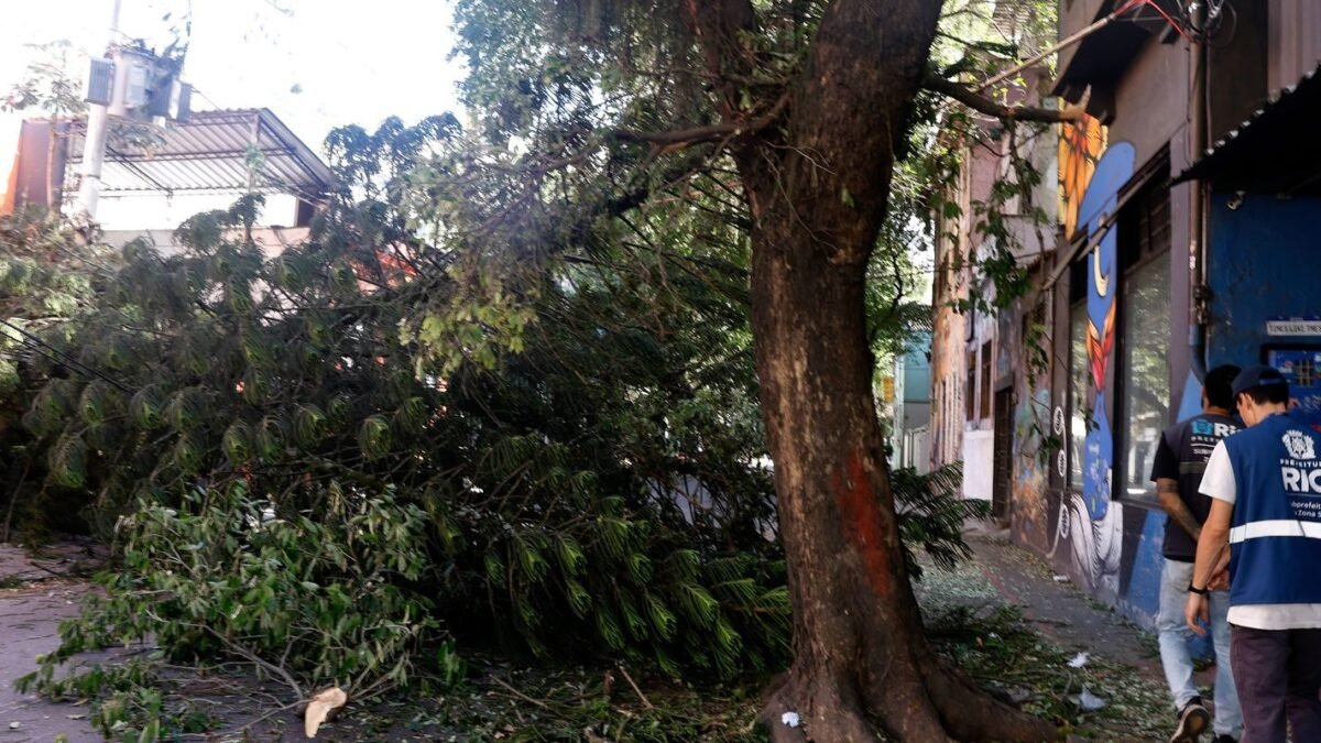 Temporal derruba árvores e desaloja moradores em Resende (RJ)