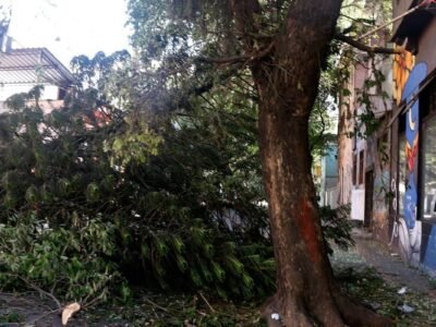 Temporal derruba árvores e desaloja moradores em Resende (RJ)