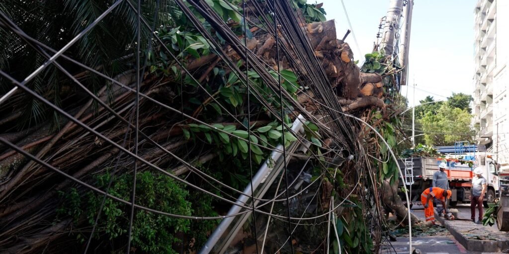 Árvore tombada sobre fios elétricos em calçada