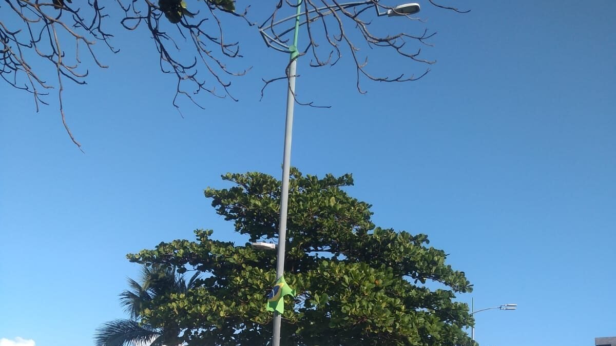 França amplia a todo o país suspensão da carteira de quem usa celular ao volante