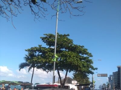 França amplia a todo o país suspensão da carteira de quem usa celular ao volante