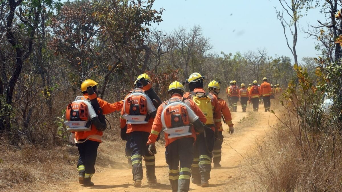 Homem é suspeito de agredir a esposa e incendiar casa em Ceilândia (DF)