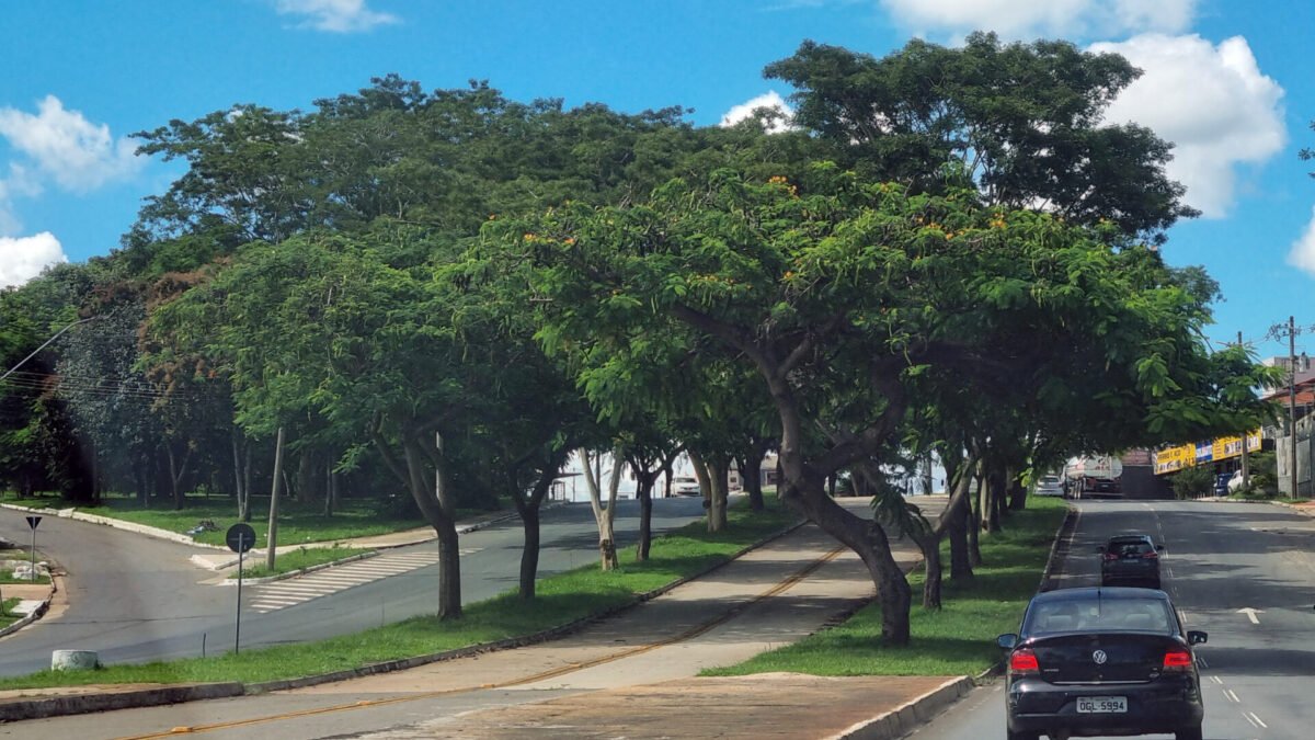 IPVA 2026 em Goiás: última parcela e licenciamento vencem quinta (15)