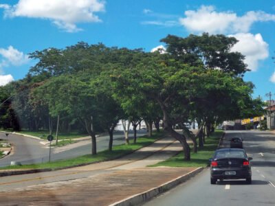 IPVA 2026 em Goiás: última parcela e licenciamento vencem quinta (15)