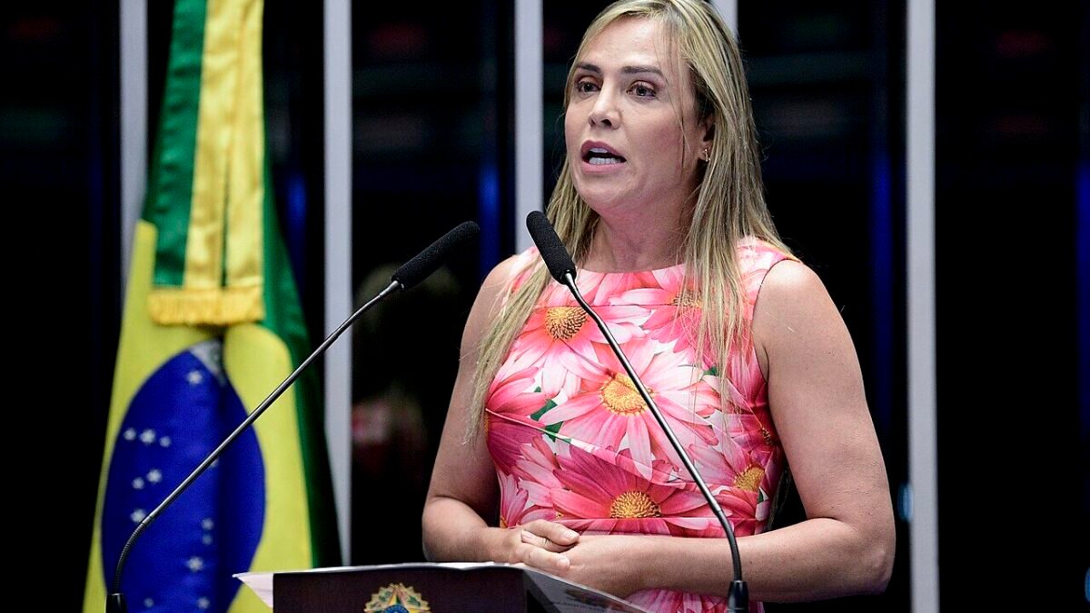 Celina Leão vence para o governo do Distrito Federal; veja senadores e deputados eleitos