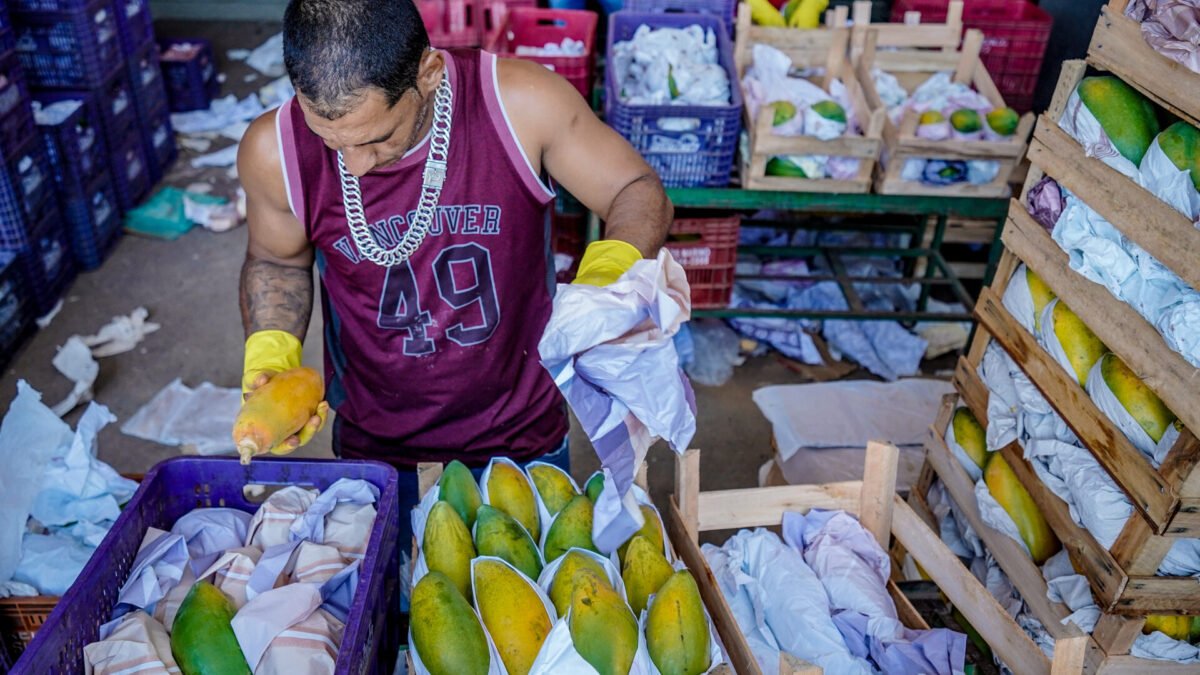 Prévia da inflação desacelera a 0,32% em outubro, mas tomate sobe 24%; veja o que mudou de preço