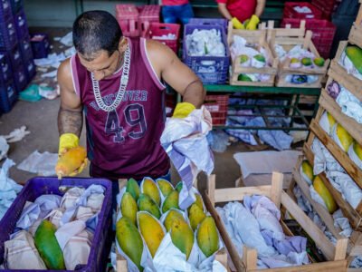 Prévia da inflação desacelera a 0,32% em outubro, mas tomate sobe 24%; veja o que mudou de preço