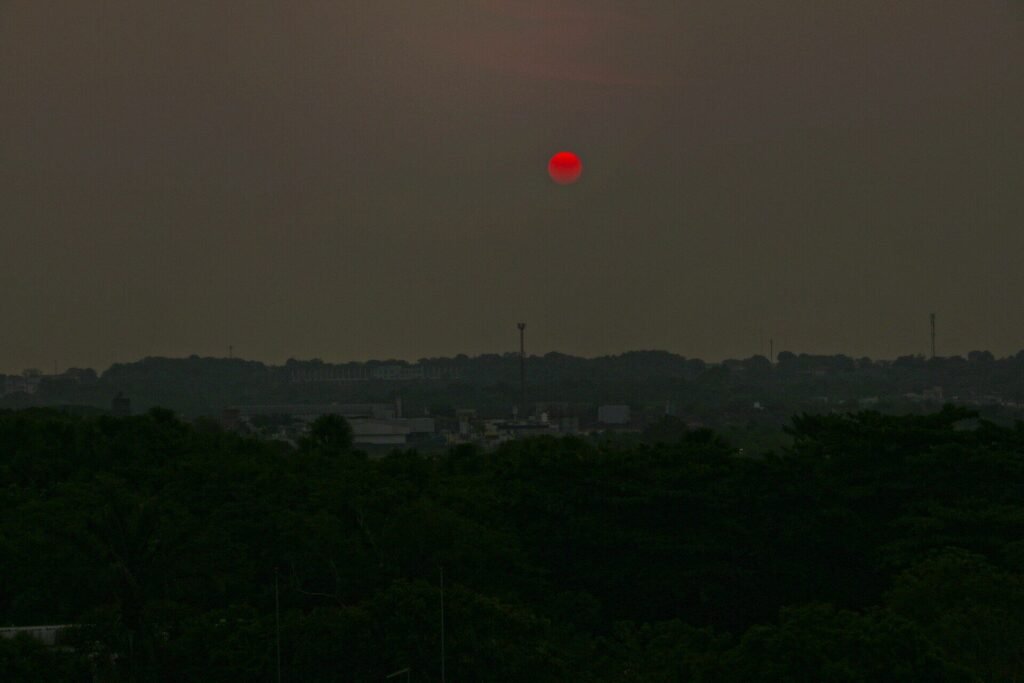 Céu cinzento de fumaça sobre a mata em Manaus