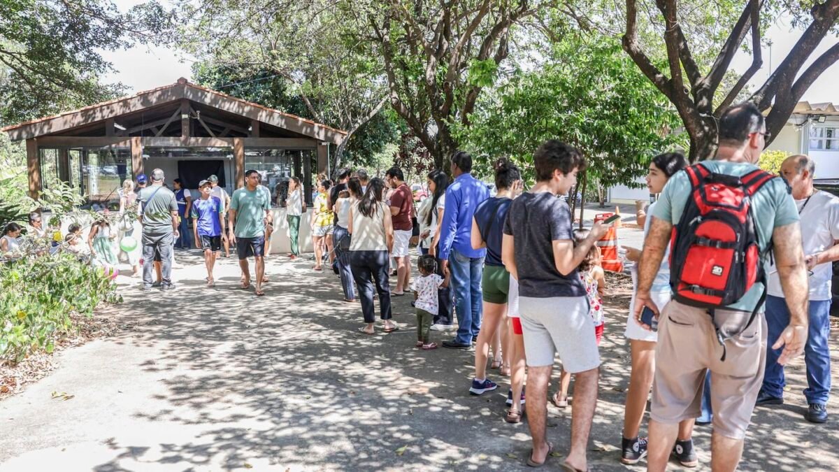 Sarampo em São Paulo: estado chega a 41 casos confirmados em 2026
