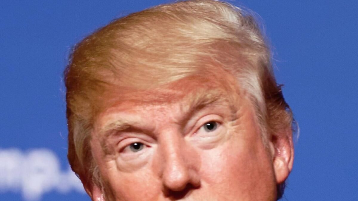 Trump diz que eleição no Brasil interessa aos EUA; embaixador vê interferência