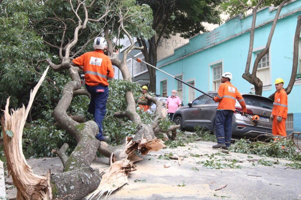 Equipe corta árvore caída sobre rua