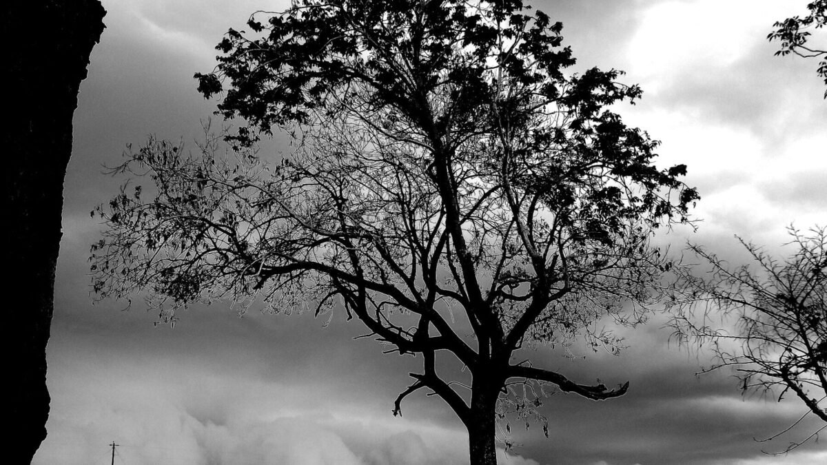 Frente fria pode trazer tempestades e ventania a 104 cidades de Goiás nesta segunda
