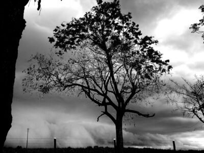 Frente fria pode trazer tempestades e ventania a 104 cidades de Goiás nesta segunda