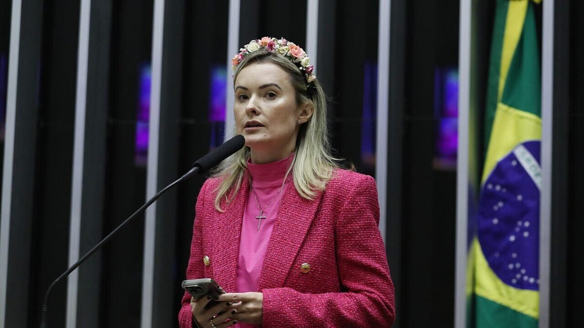 Deputados federais eleitos em Santa Catarina: veja os 16 que ficam com as vagas, com 98,6% apurado