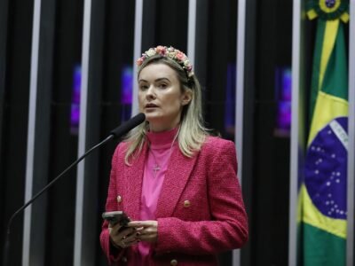 Deputados federais eleitos em Santa Catarina: veja os 16 que ficam com as vagas, com 98,6% apurado
