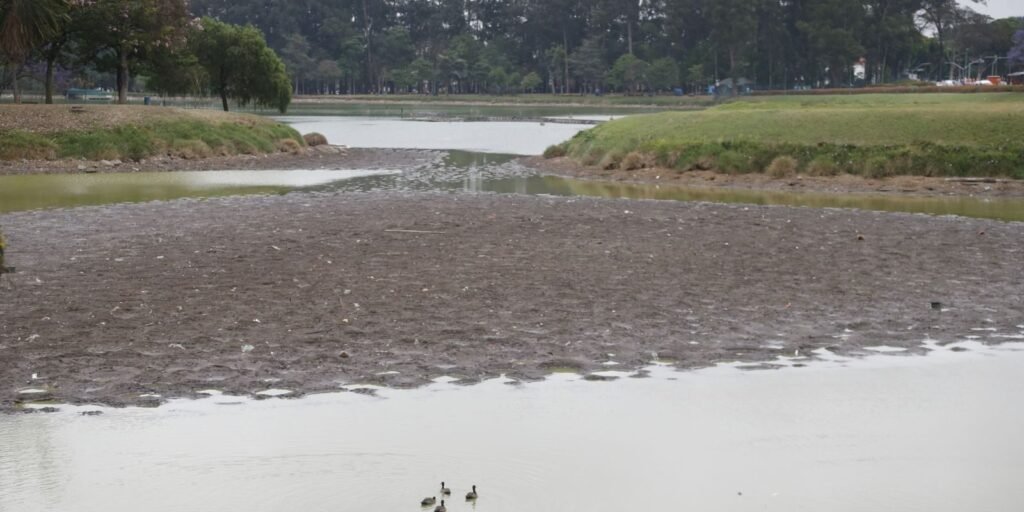 Lago do Parque do Ibirapuera com seu volume de água secando, em São Paulo