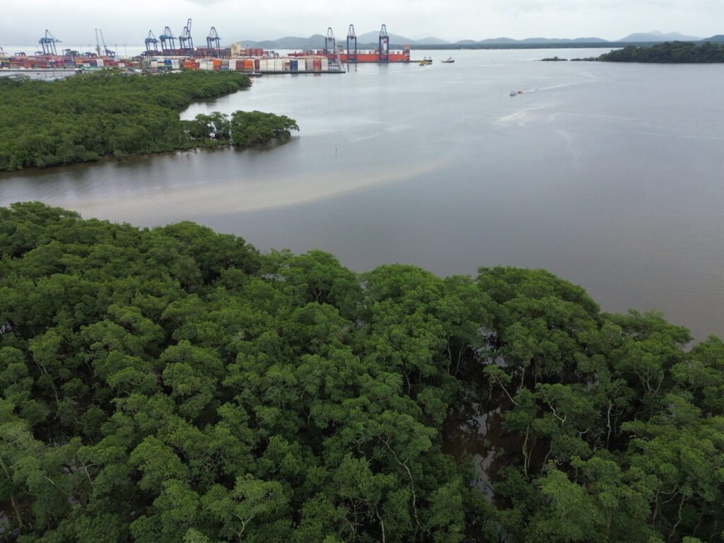 Manguezal com o Porto de Paranaguá, área da Grande Reserva da Mata Atlântica, onde ocorre monitoramento de pesquisadores do Rebimar