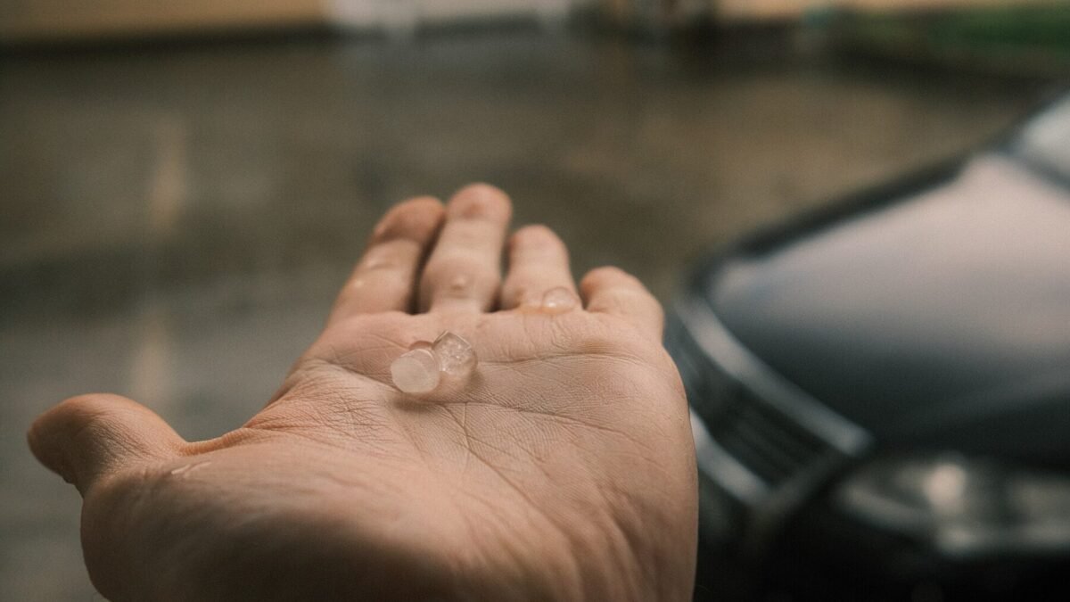 Temporal com granizo atinge região de Ribeirão Preto e derruba árvores em Cravinhos