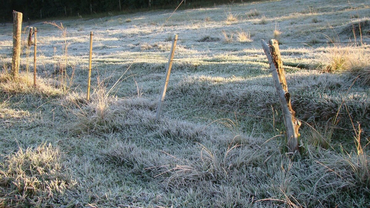 Paraná tem 2,3ºC em General Carneiro e possibilidade de geada na segunda (19)