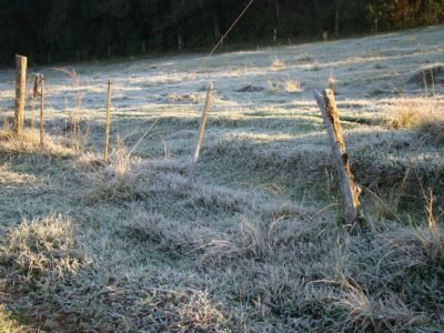 Paraná tem 2,3ºC em General Carneiro e possibilidade de geada na segunda (19)