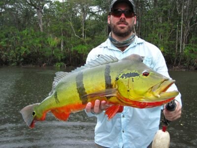Adolescente de Uberaba bate recorde brasileiro júnior de pesca de piraíba aos 15 anos