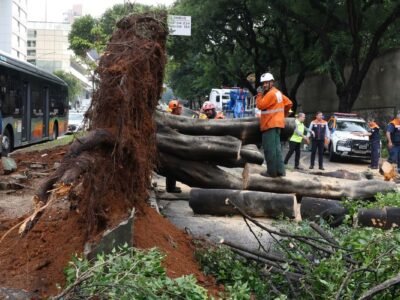 Temporal no oeste de SP tem rajadas de 70 km/h, árvores caídas e 76 mil clientes sem luz