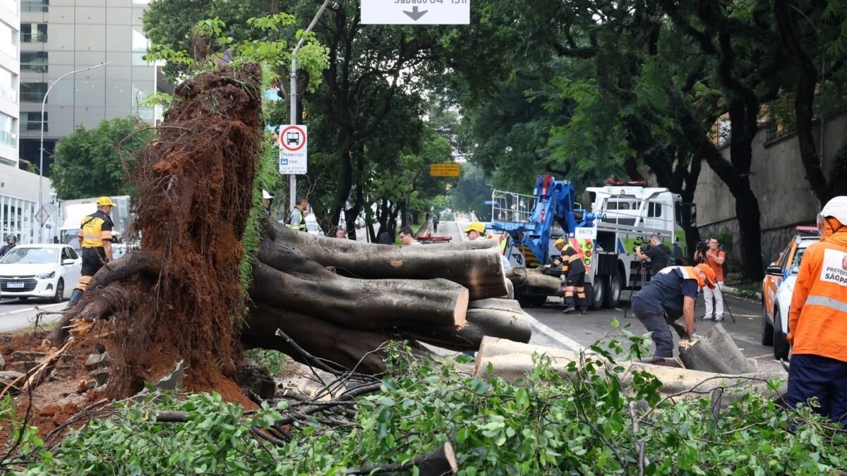 Temporal com ventos de 107 km/h deixa 300 desalojados em Rosana (SP)