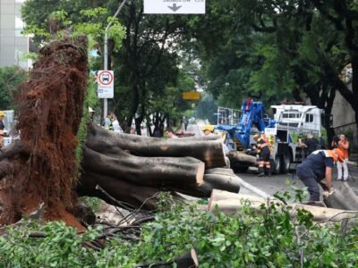 Temporal com ventos de 107 km/h deixa 300 desalojados em Rosana (SP)