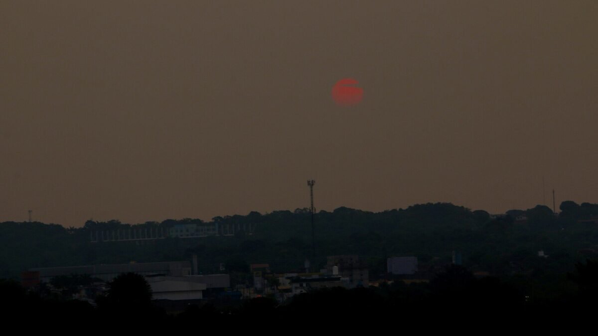 Queimadas no Amazonas: focos mais que dobram, 36 cidades em emergência e Manaus vive sob fumaça