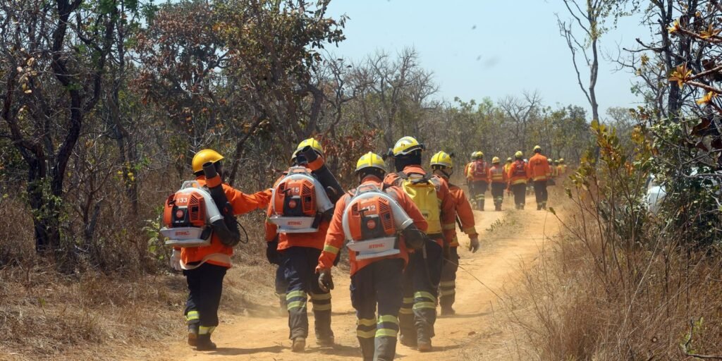 Soldados do Corpo de Bombeiros do Distrito Federal se preparam para ações de combate a incêndios no Parque Nacional
