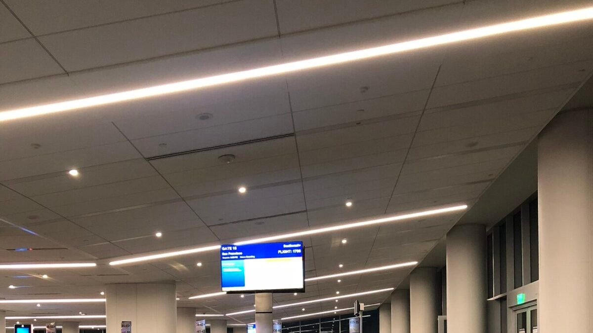 Atriz brasileira presa pelo ICE em Los Angeles está detida há mais de um mês