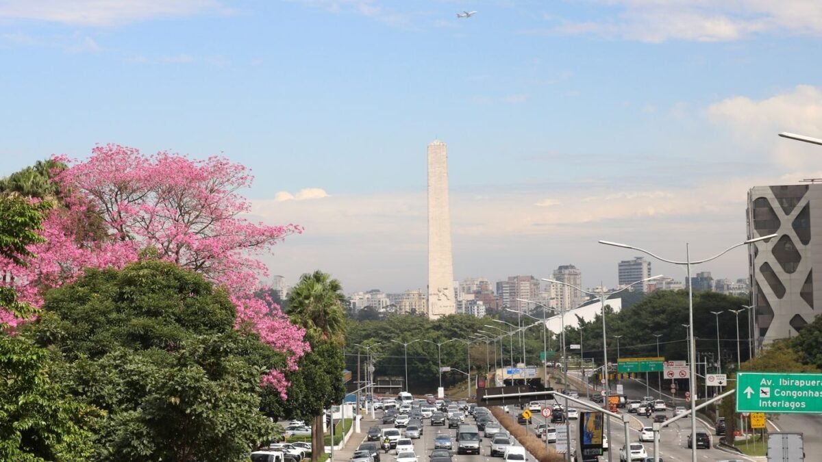 Tio de Guilherme Boulos é atropelado após briga de trânsito em SP