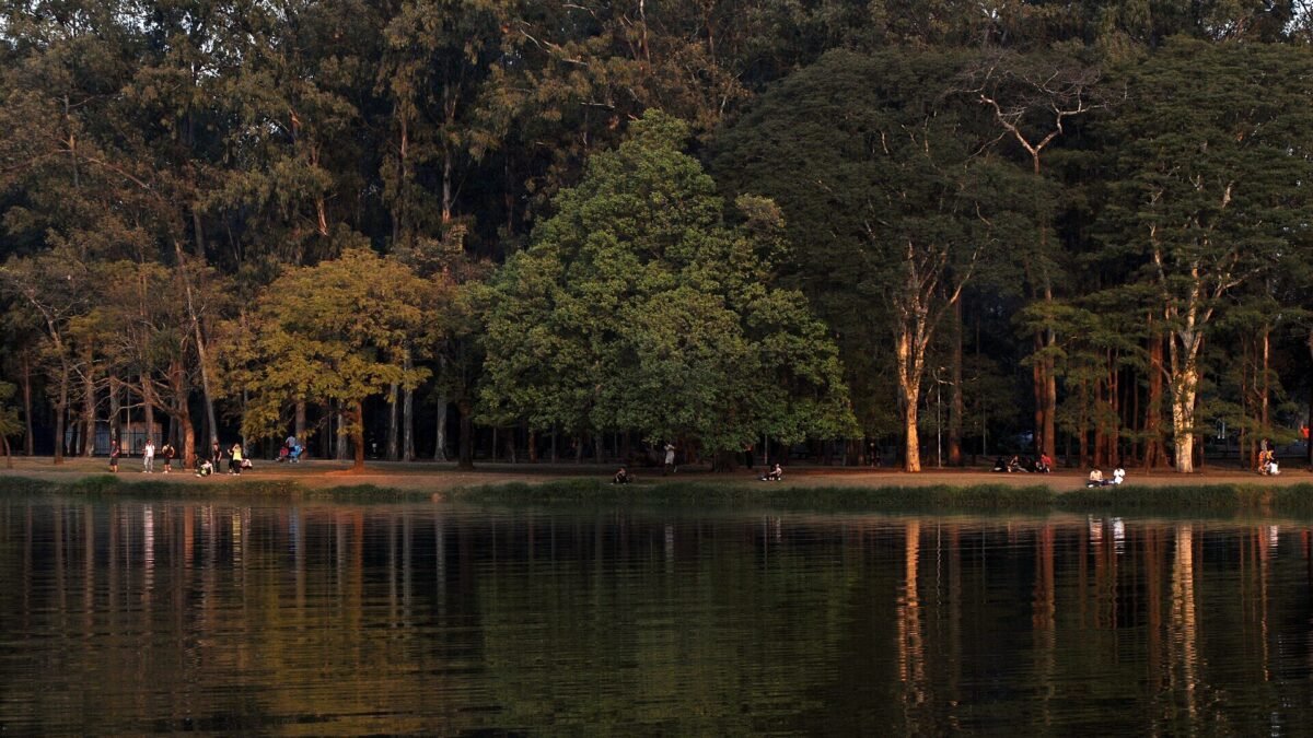 Lago do Ibirapuera transbordou com chuva forte em SP; caso já ocorreu em 2020
