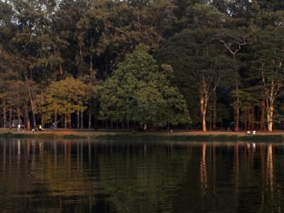 Lago do Ibirapuera transbordou com chuva forte em SP; caso já ocorreu em 2020