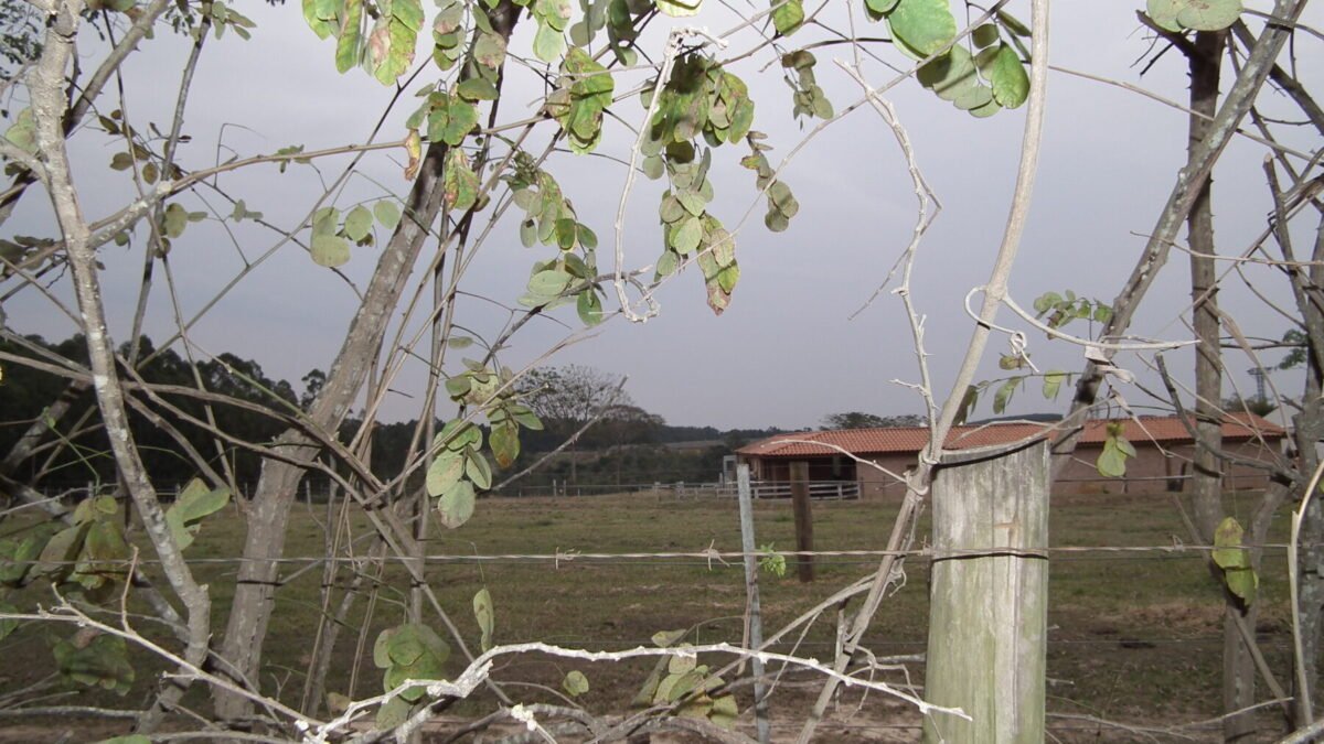 A Fazenda 18: Renê Thristan tem a menor parcial em enquete da 3ª Roça